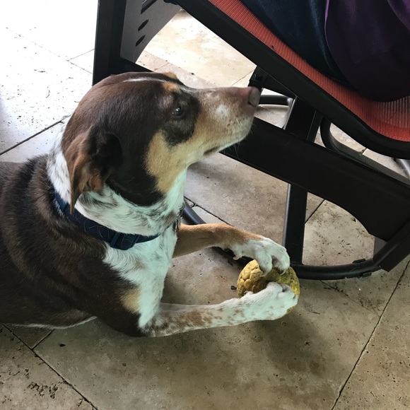 Meet your Posher, Dineen - Picture 6 of 7